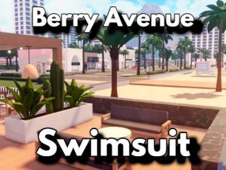 Berry Avenue Swimsuit Codes Roblox