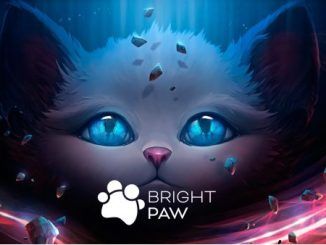 Bright Paw Walkthrough