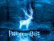 Patronus Answers Wizarding World