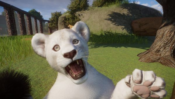 Planet Zoo Albino Animals