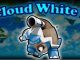 Pokemon Cloud White 3 Cheats