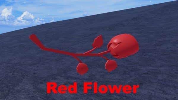 How to Get All Flowers in Blox Fruits