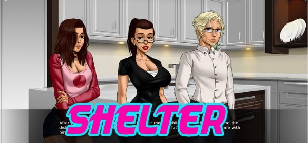 Shelter Game Walkthrough