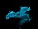 Wizarding World Patronus Bat Answers