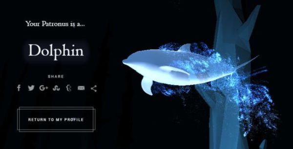 Wizarding World Patronus Dolphin Answers