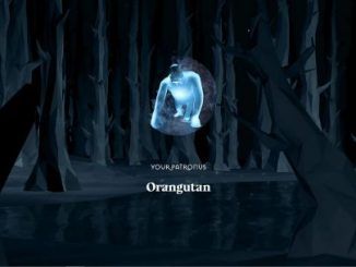 Wizarding World Patronus Orangutan Answers