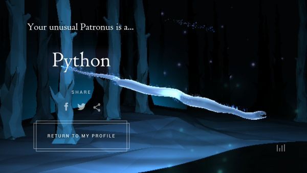 Wizarding World Patronus Python Answers