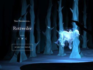 Wizarding World Patronus Rottweiler Answers