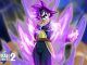 rango z en dragon ball xenoverse 2