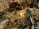 viales magicos en final fantasy 15