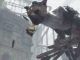 agujeros en The Last Guardian