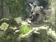 pistas en The Last Guardian
