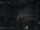 Kodamas en NiOh