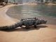 domesticar animales en Conan Exiles