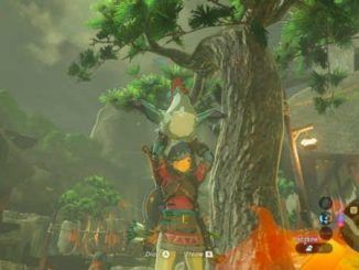 Cucos en Zelda Breath of the Wild