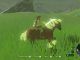 Epona en Zelda Breath of the Wild