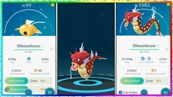 Gyarados rojo en Pokémon Go