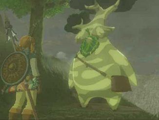 Hestu en Zelda Breath of the Wild