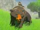 Monturas especiales en Zelda Breath of the Wild