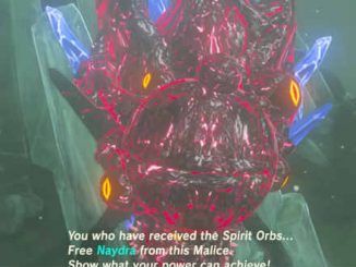Nayen en Zelda Breath of the Wild