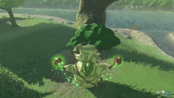 Obab en Zelda Breath of the Wild