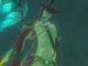 Zora en Zelda Breath of the Wild