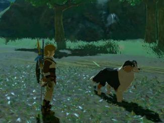 tesoros de los perros en Zelda Breath of the Wild