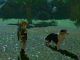 tesoros de los perros en Zelda Breath of the Wild