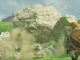 mejores escudos de Zelda Breath of the Wild