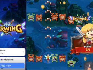 consejos de EverWing