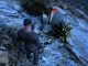 Plantas Peyote en GTA 5