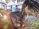 Yutyrannus en Ark Survival Evolved