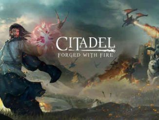 subir de nivel en Citadel Forged with Fire