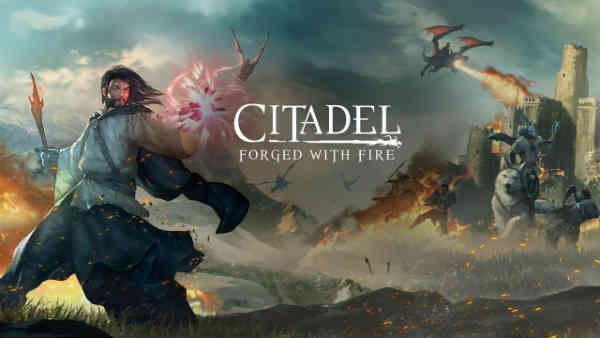 subir de nivel en Citadel Forged with Fire