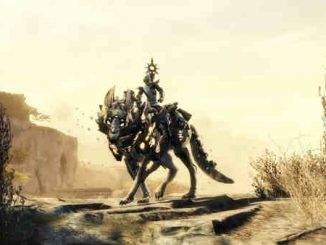 Chacal en Guild Wars 2