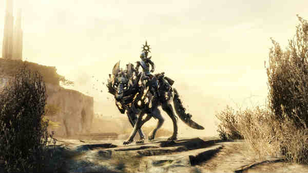 Chacal en Guild Wars 2
