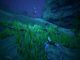perlas negras en Ark Survival Evolved