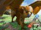 tamear un Griffin en Ark Survival Evolved