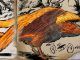 tamear un Phoenix en Ark Survival Evolved