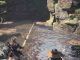 fósil viviente en Monster Hunter World