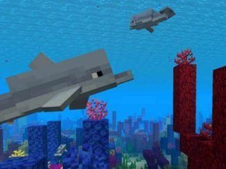 alimentar delfines en Minecraft
