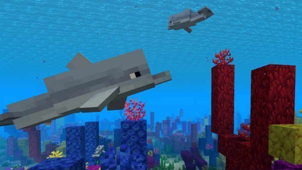 alimentar delfines en Minecraft