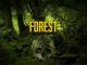 Katana en The Forest