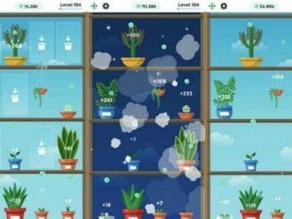 Guía y Trucos Terrarium Garden
