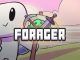 Forager Puzzles y Soluciones