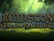 mejores objetos de DruidStone