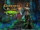 Darkness and Flame 4 Enemy in Reflection Guia