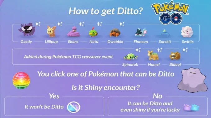 Como conseguir a Ditto
