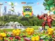 Desafio Global Go Fest Seattle