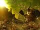 Total War: Warhammer 3